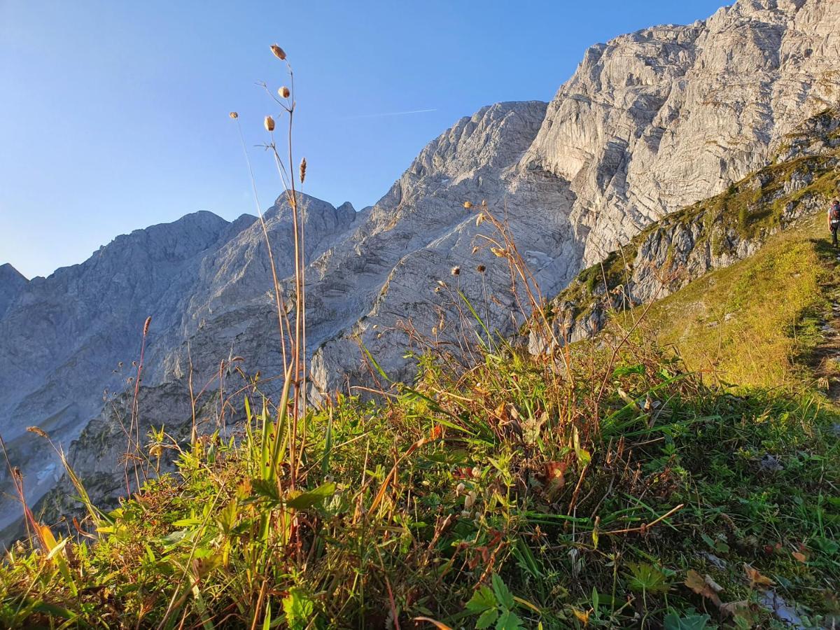 Ferienwohnungen Gaestehaus Laercheck Berchtesgaden Bagian luar foto